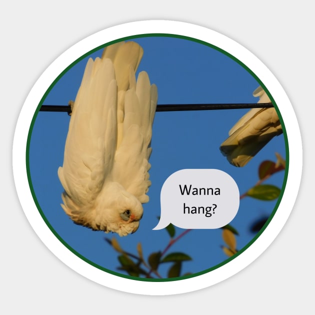 Wanna hang? Sticker by Jane Izzy Designs